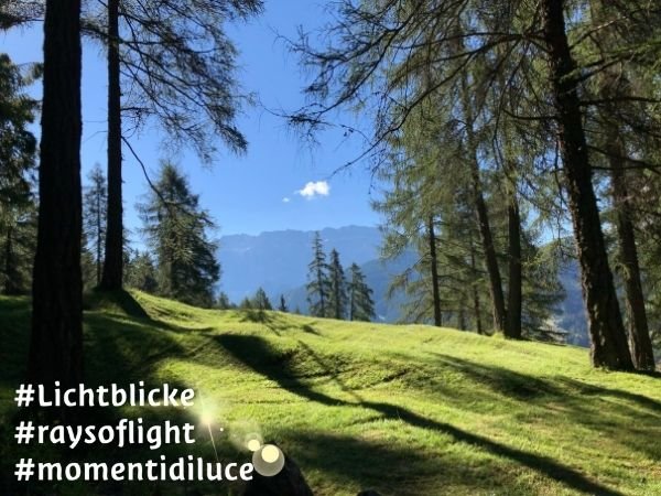lichtblickesella2.jpg